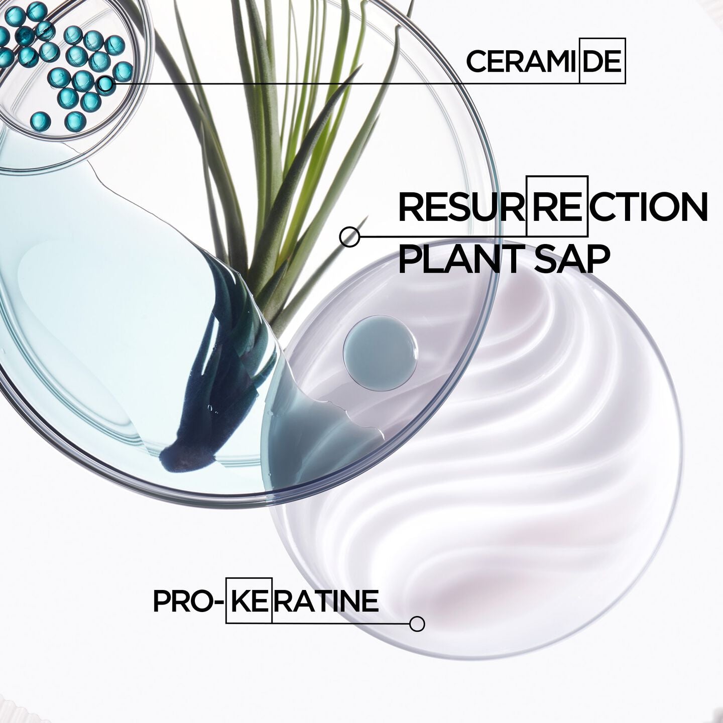 Résistance Extentioniste Shampoo