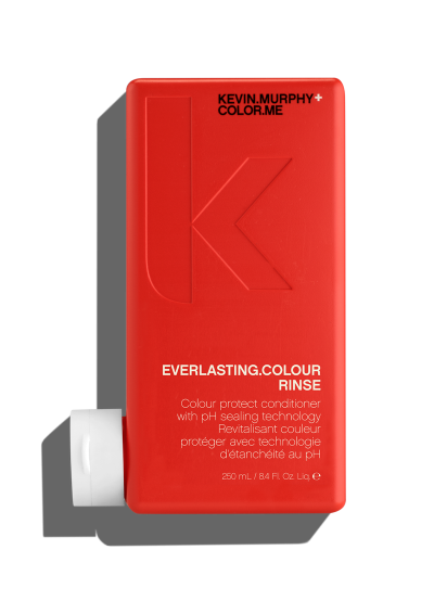 Everlasting Colour Conditioner
